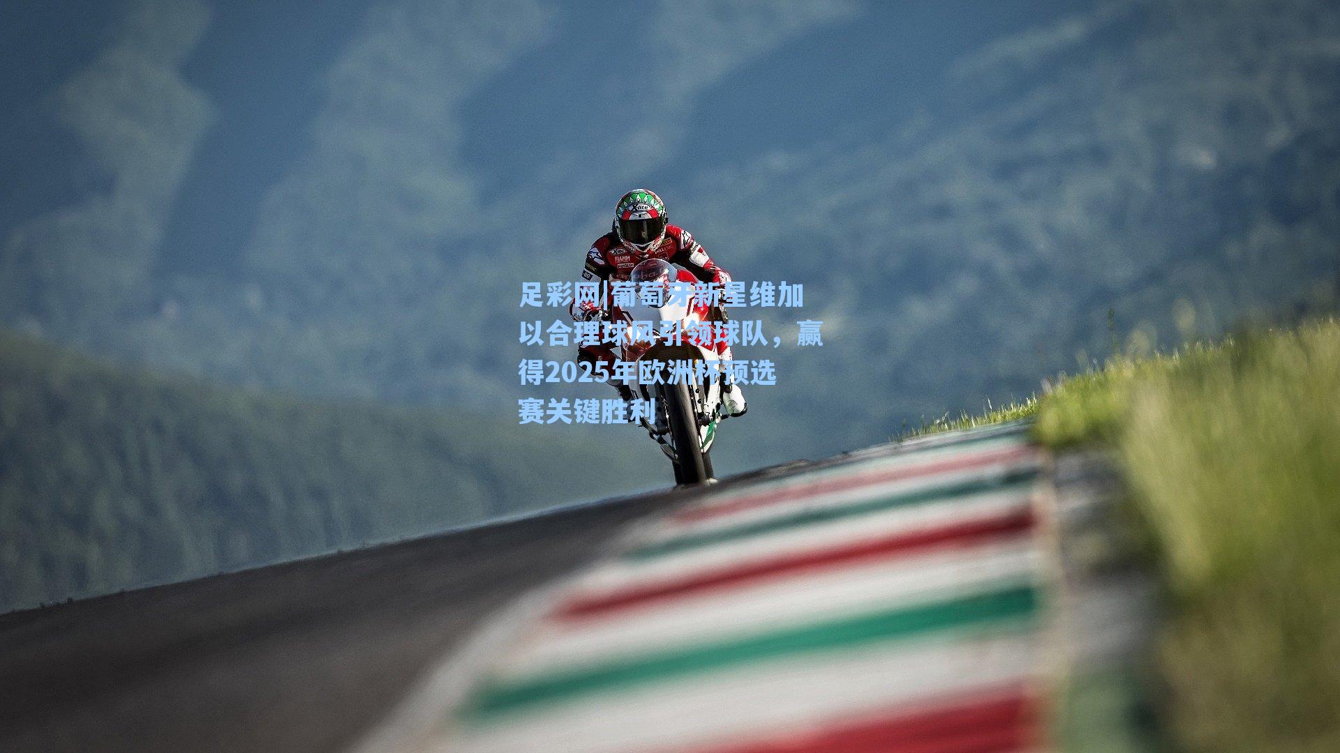 葡萄牙新星维加以合理球风引领球队，赢得2025年欧洲杯预选赛关键胜利