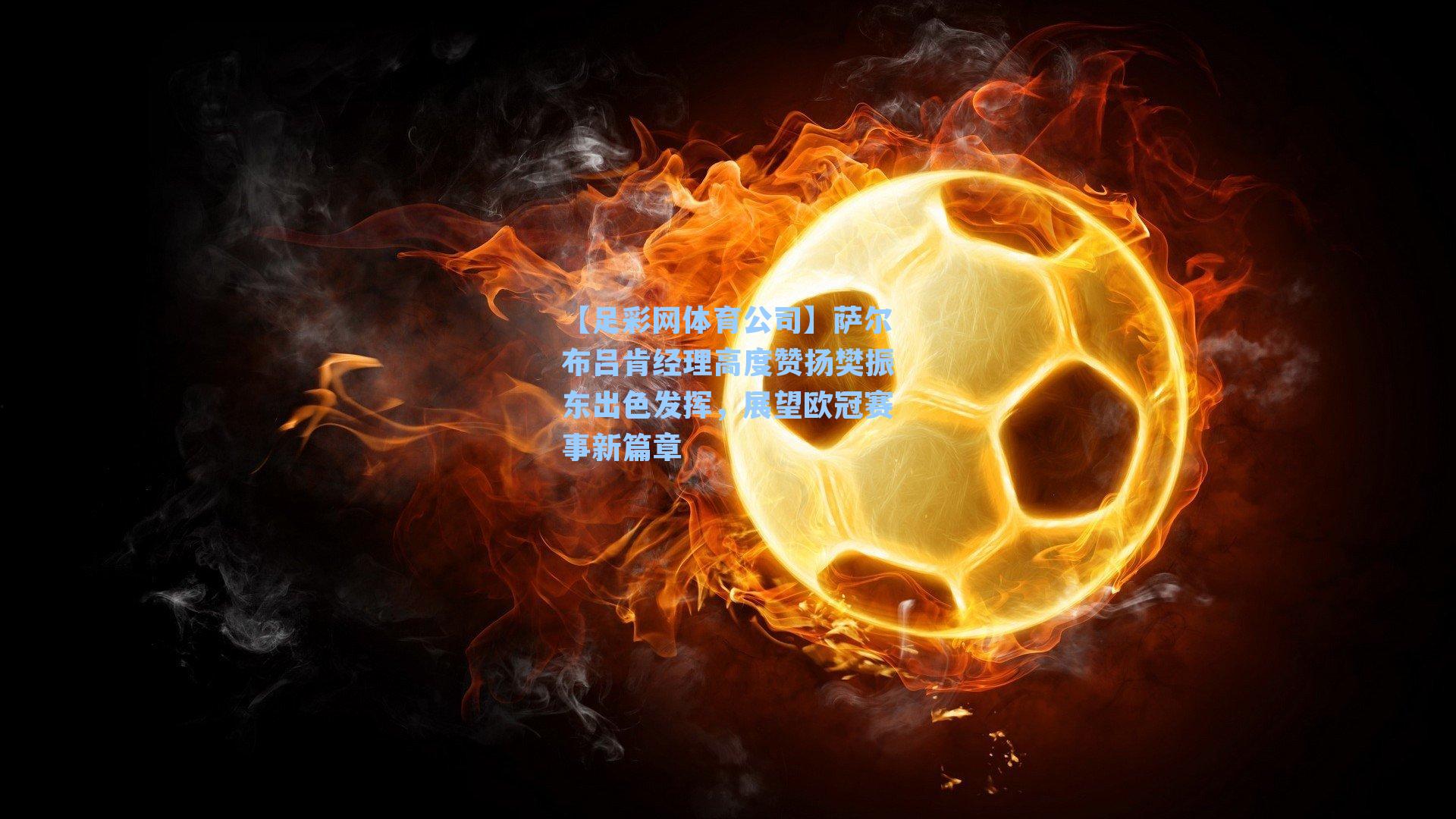 萨尔布吕肯经理高度赞扬樊振东出色发挥，展望欧冠赛事新篇章