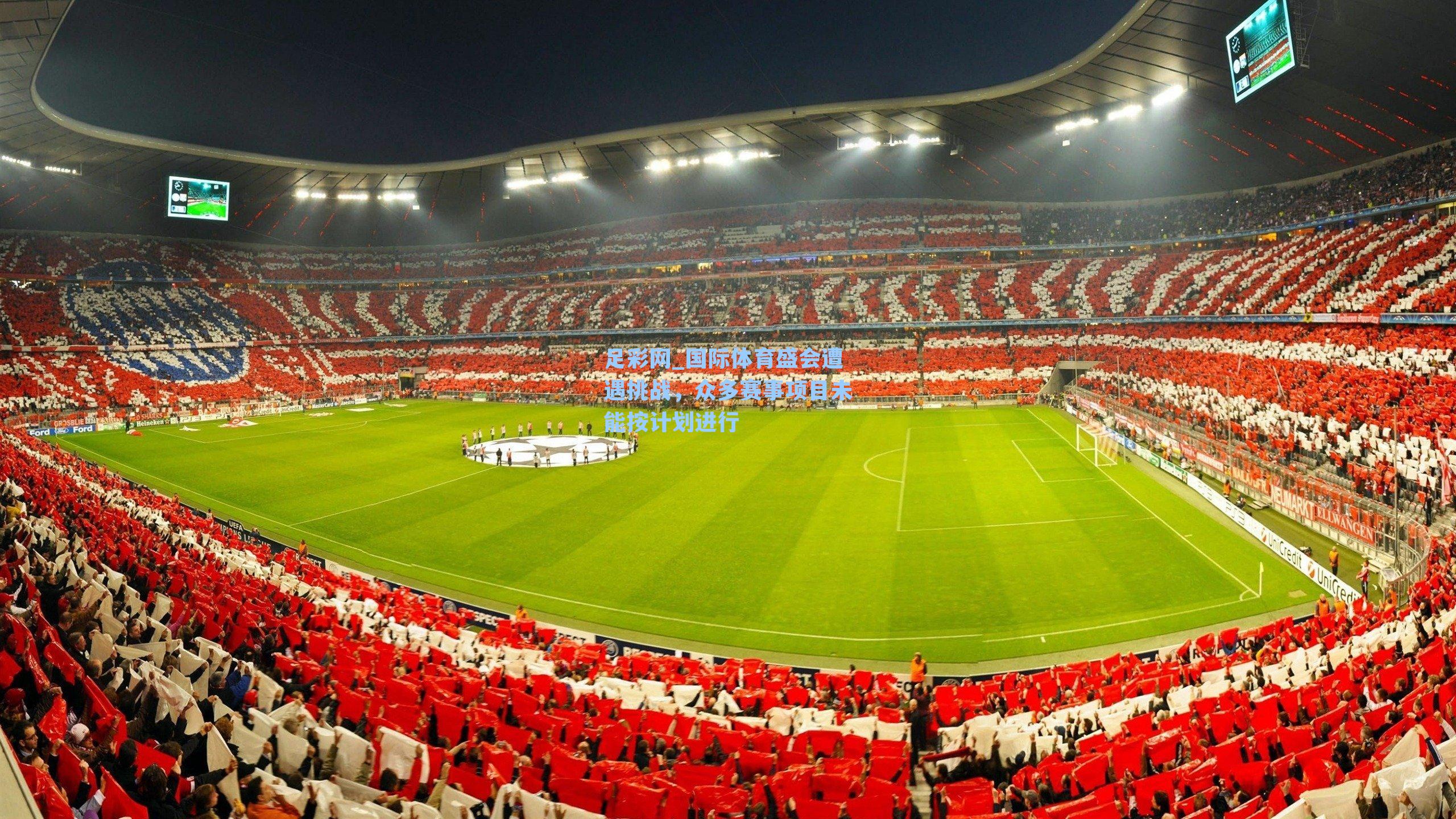 国际体育盛会遭遇挑战，众多赛事项目未能按计划进行